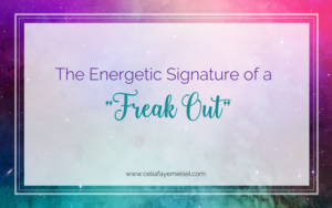 The Energetic Signature of a "Freak Out" by Celia Faye Meisel
