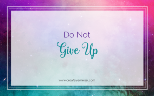 Do Not Give Up by Celia Faye Meisel