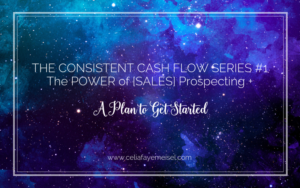 The Power of Prospecting - Consistent Cash Flow Series with Celia Faye Meisel