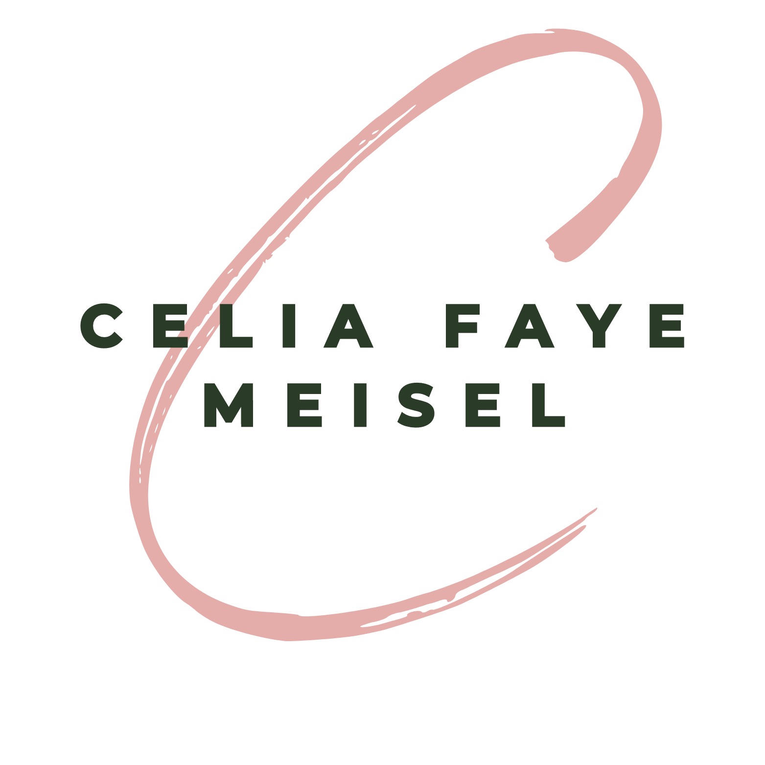 Celia Faye Meisel, Sales Innovation Strategist